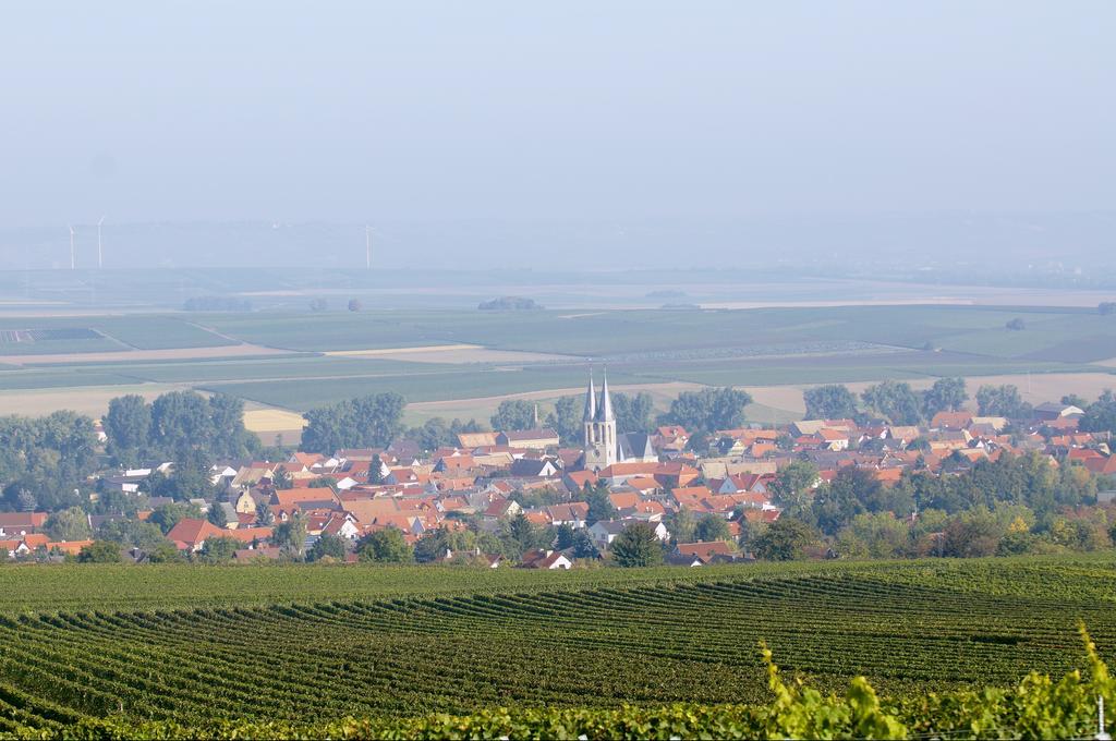 Hôtel Dohlmuhle Gastehaus & Weingut à Flonheim Extérieur photo