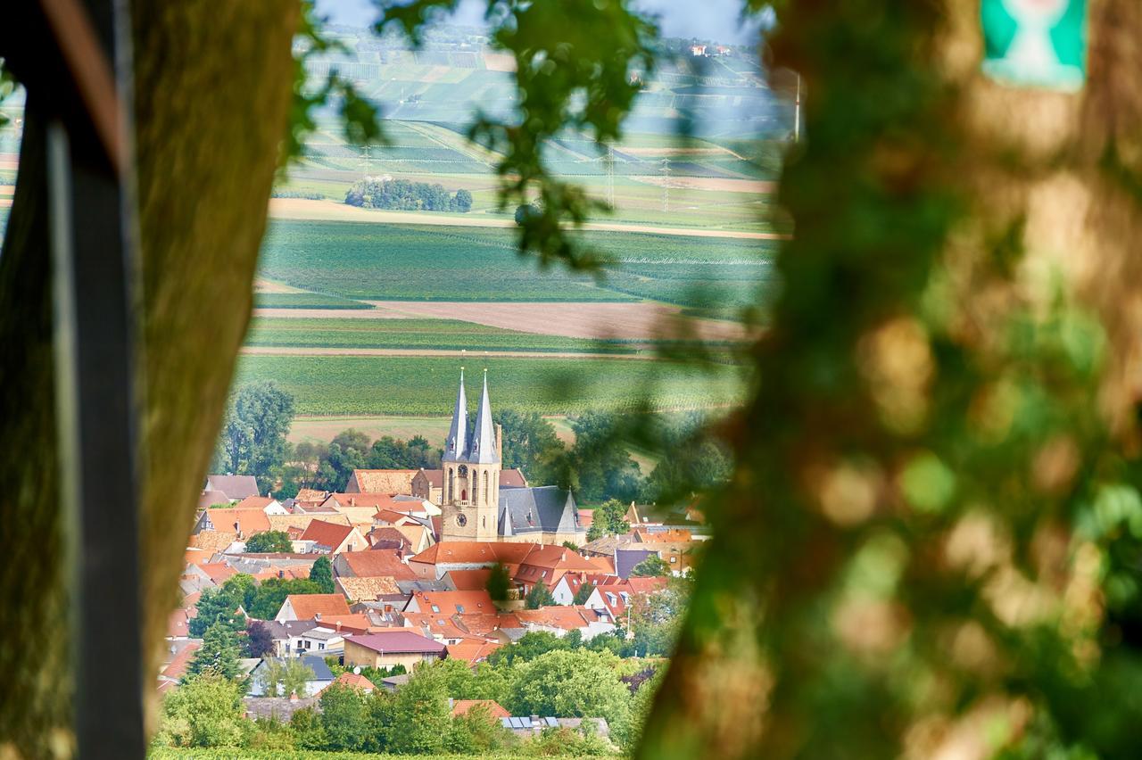 Hôtel Dohlmuhle Gastehaus & Weingut à Flonheim Extérieur photo