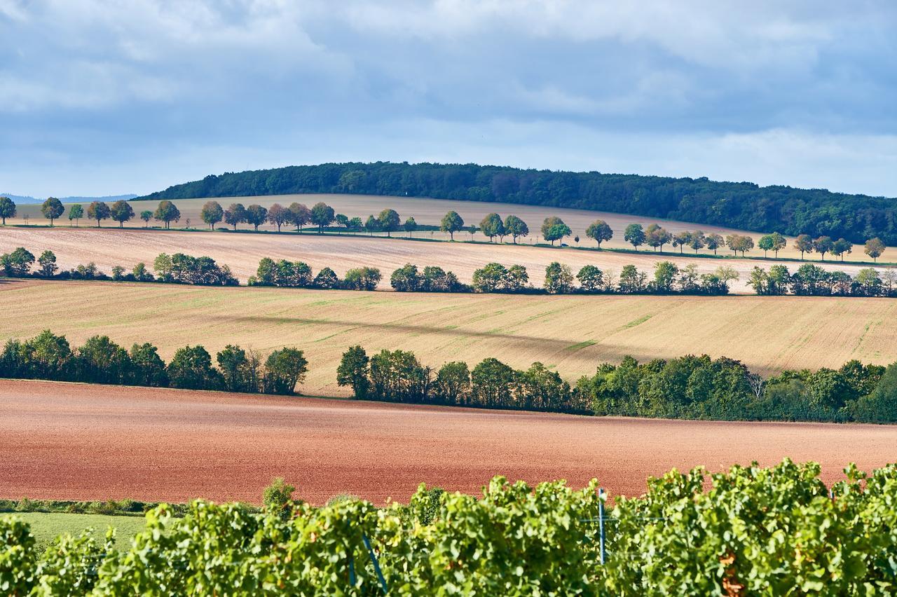 Hôtel Dohlmuhle Gastehaus & Weingut à Flonheim Extérieur photo